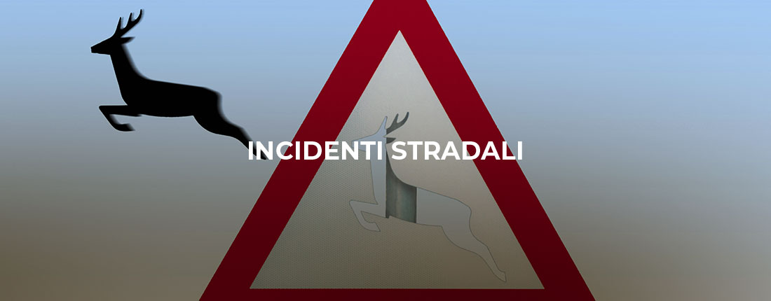 INCIDENTI-STRADALI