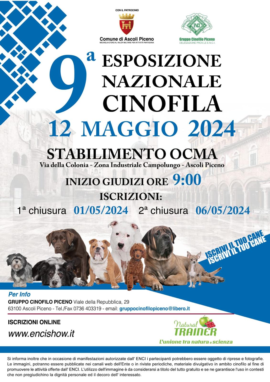 Immagine WhatsApp 2024 04 18 ore 10.28.45 0a3158a5