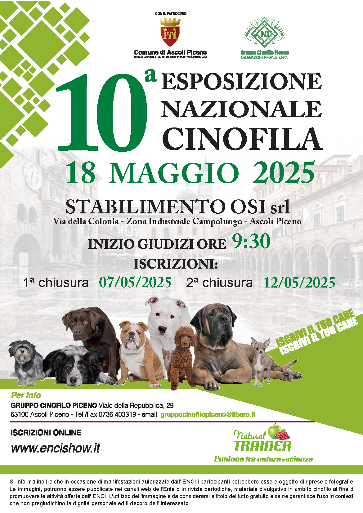 esposizione cinofila