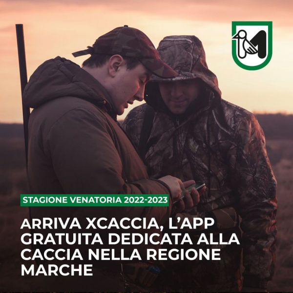 photo_2022-08-18_12-05-40